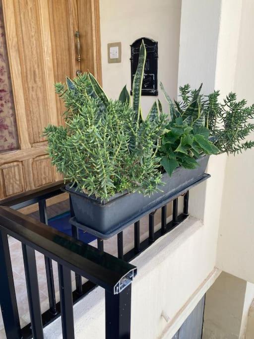 Apartament Elegant Maisonette In Malta By Assetflow Pro Marsaskala Zewnętrze zdjęcie